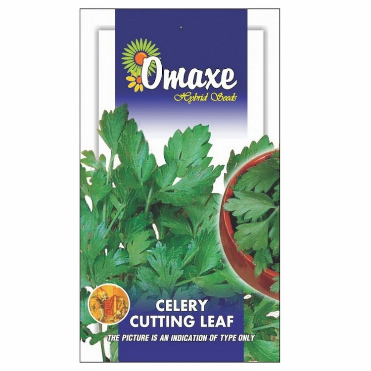 Omaxe Vegetable Seeds Assorted