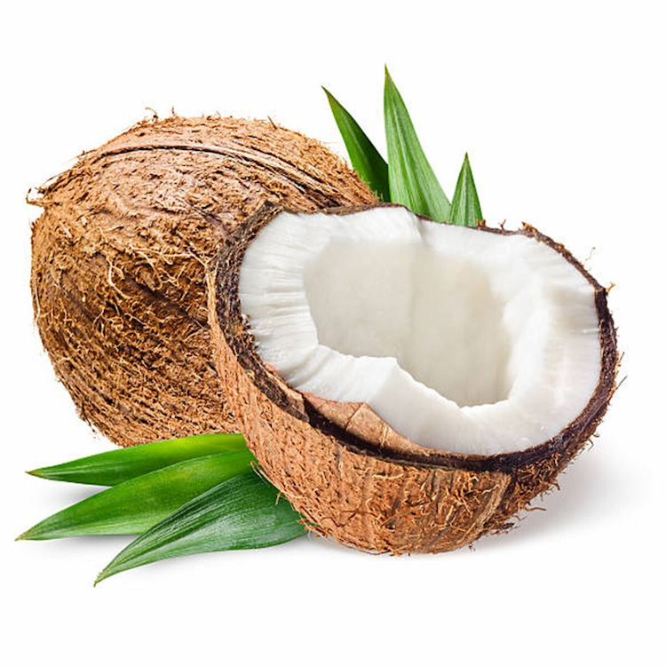 Coconut 1Piece