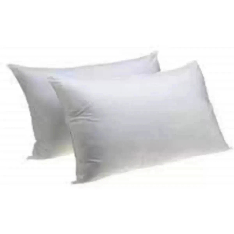 Homewell Pillow 2pc Set 17*27 700g Nw