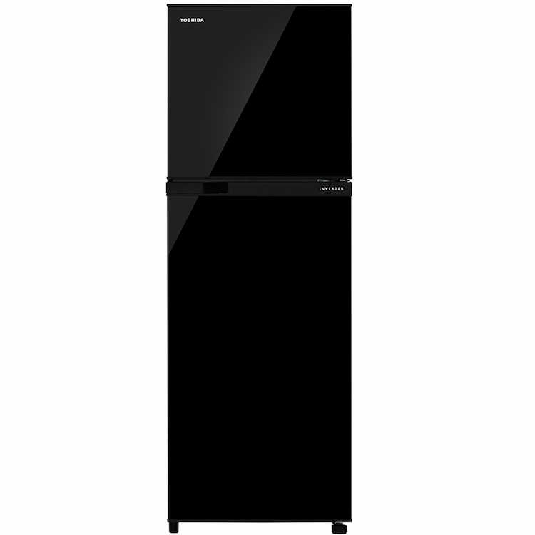 Toshiba Frost Free Double Door Refrigerator RT302WE 252L