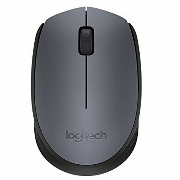 Logitech Wireless Mouse M170 