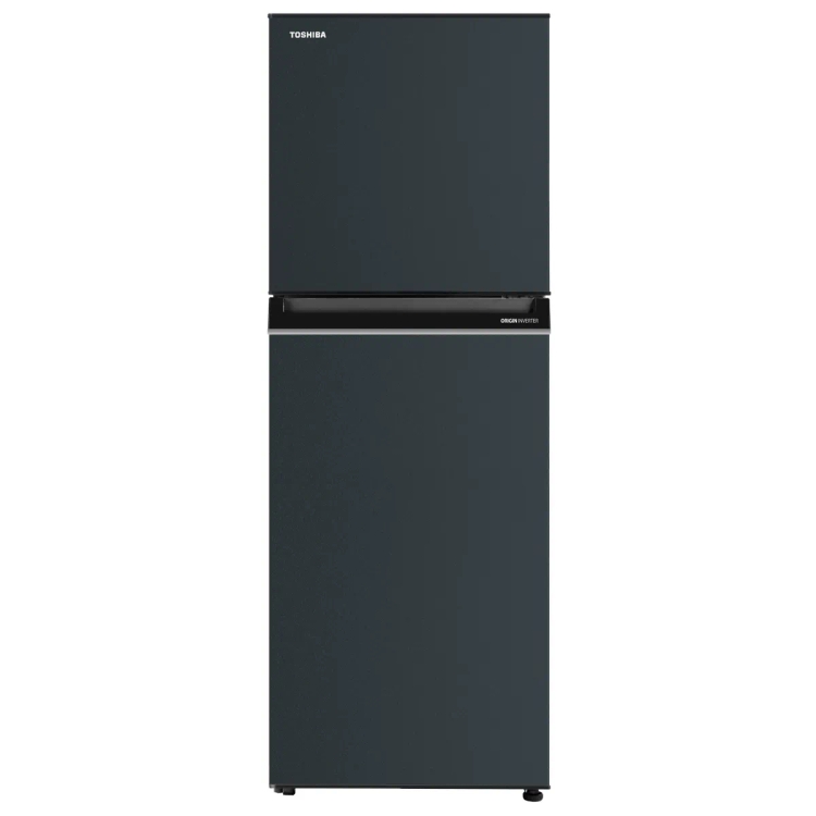 Toshiba 2 Star Frost Free Double Door Refrigerator GR-RT338WE 233 L Blue