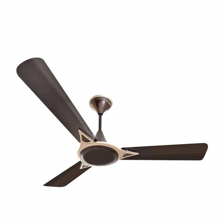 Crompton Ceiling Fan Avancer Prime Anti Dust Bakers Brown