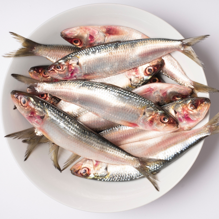 Sardine Approx.950g-1Kg