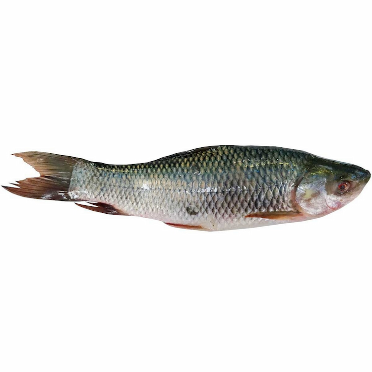 Rohu Fish Approx.900g-1Kg