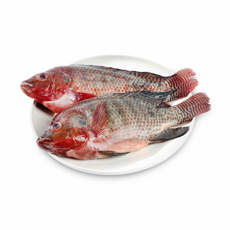 Tilapia Fish Approx. 1.2Kg-1.3Kg