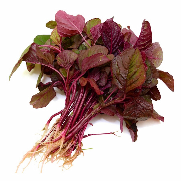 Red Amaranthus 1 Bunch