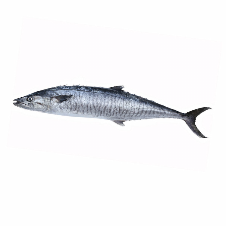 King Fish Big Approx.950g-1Kg