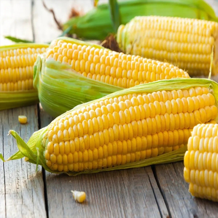 Sweet Corn Approx 900g -1kg