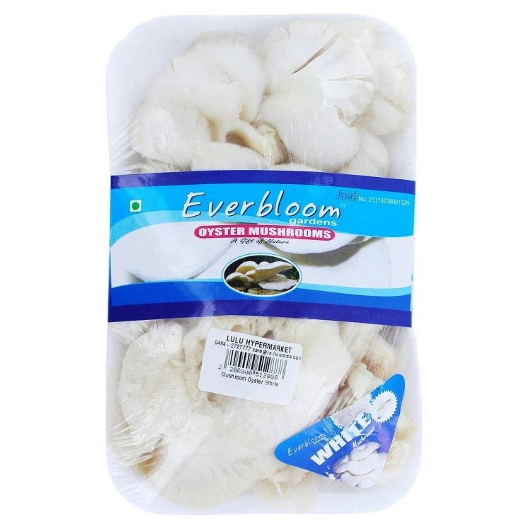 Mushroom Oyster White 1 Packet