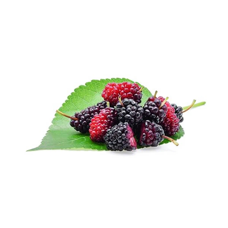 Fresh Mulberry Packet