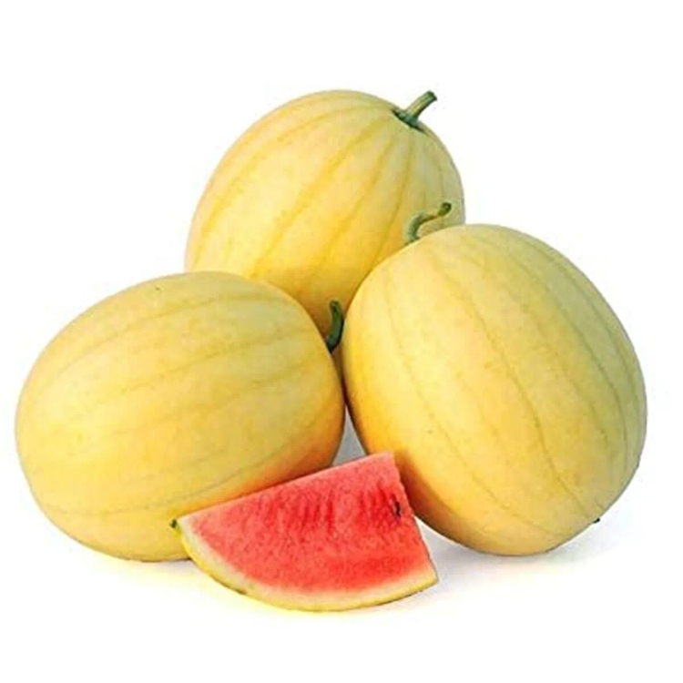 Watermelon Vishala Approx. 2Kg -2.5Kg