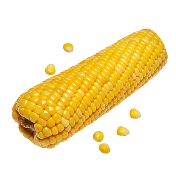 Sweet Corn Boiled Pkt