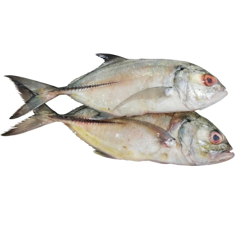 Jesh Fish Approximate.1Kg-1.2Kg