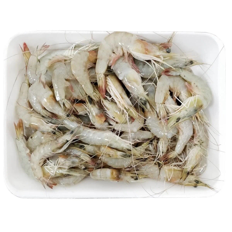 White Prawns Approx.450g-500g
