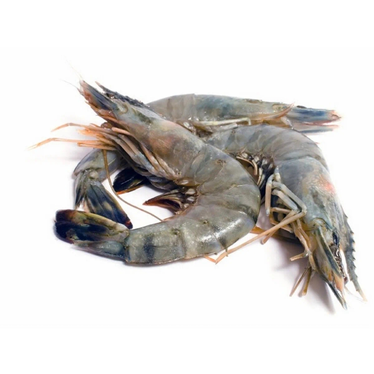 Prawns Approx.450g-500g