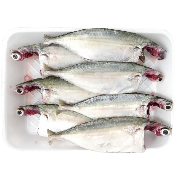 Cleaned Mackerel Approx.400g-500g