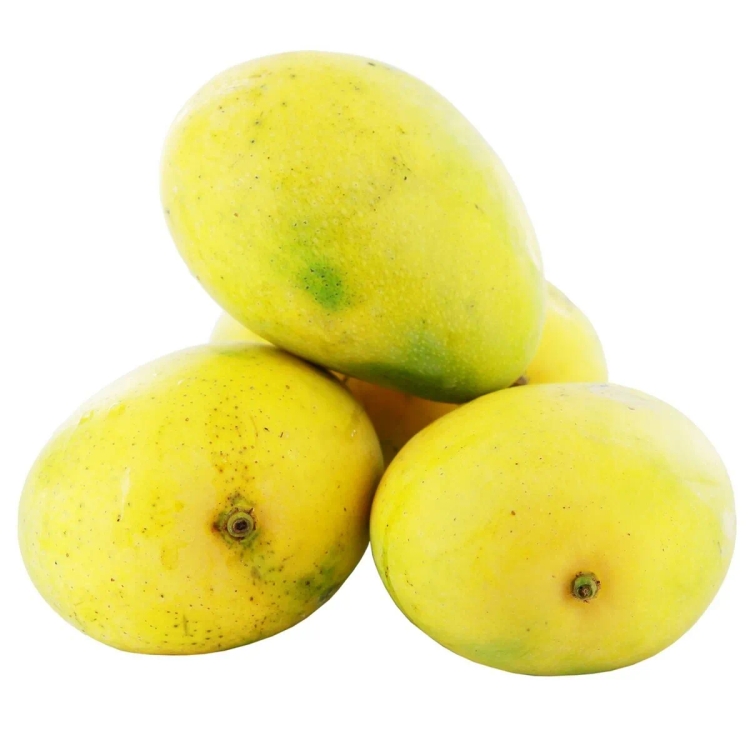 Mango Banganapalli Approx.900g-1Kg