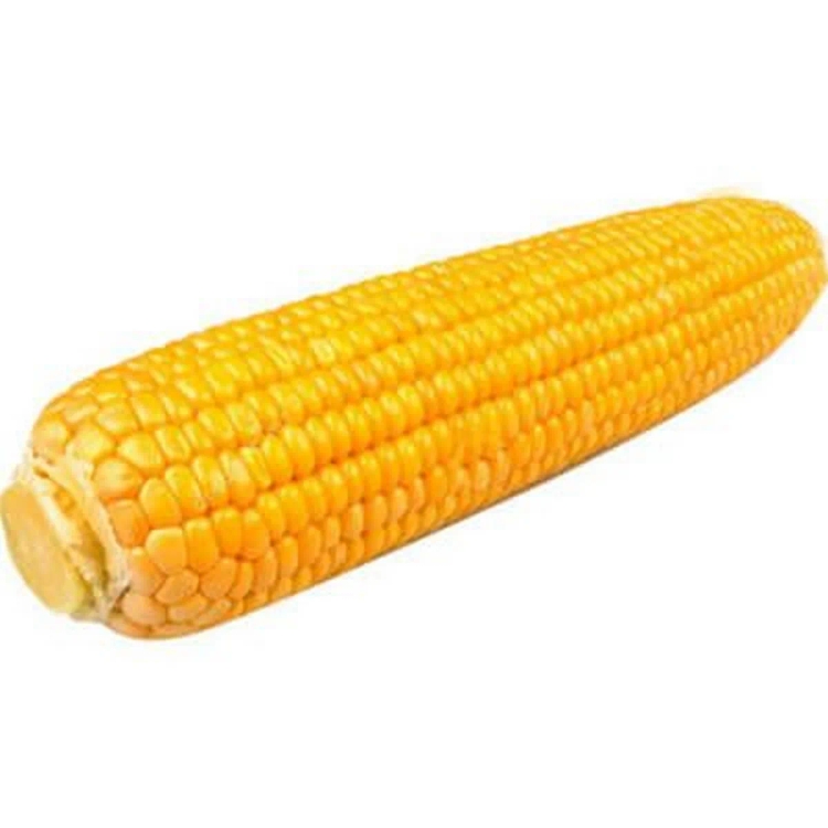 Sweet Corn Skinless Approx. 850g-1Kg
