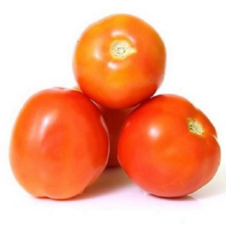 Tomato Hybird approx.450g-500g