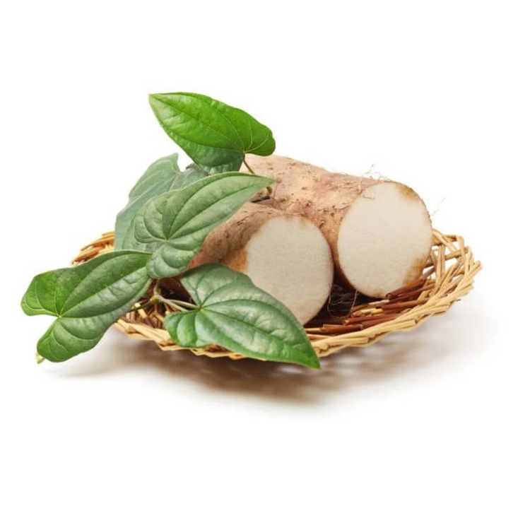 Colocasia Big Approx.450g- 500g