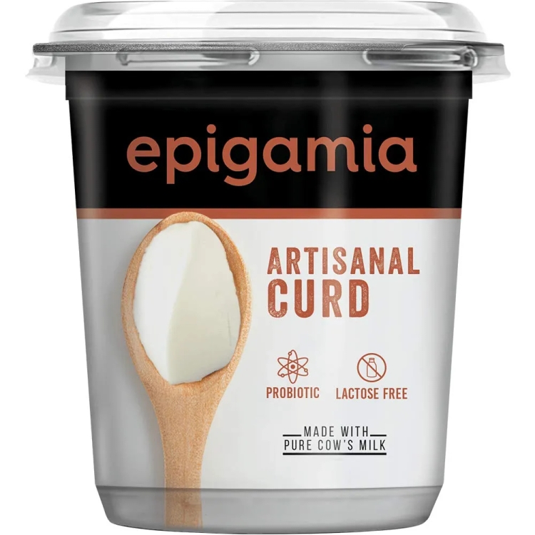 Epigamia Artisanal Curd 400g