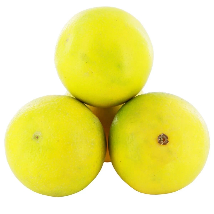 Musambi approx. 450g-500g