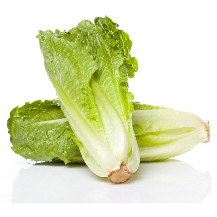 Lettuce Romaine Approx. 250g