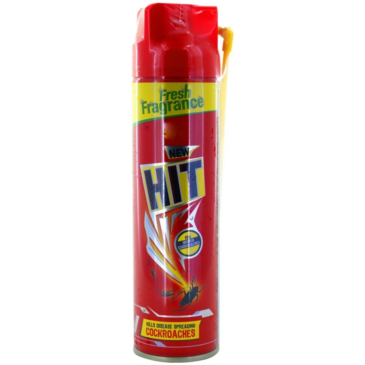 Hit Crawling Insect Killer 200Ml