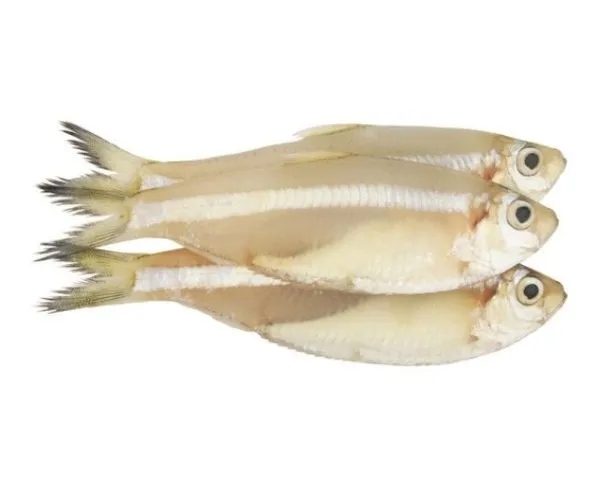 Nanthan Fish Fish Approx.450g-500g