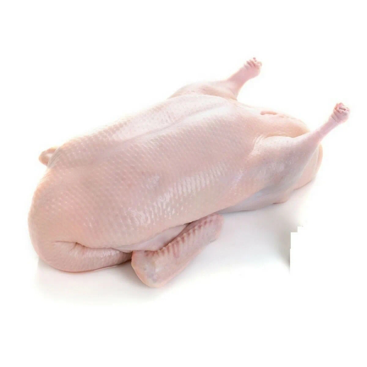 Fresh Duck approx.800g-1kg