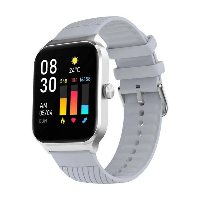 Noise Colorfit Canvas 1.96” TFT Display Smart Watch, Silver Grey
