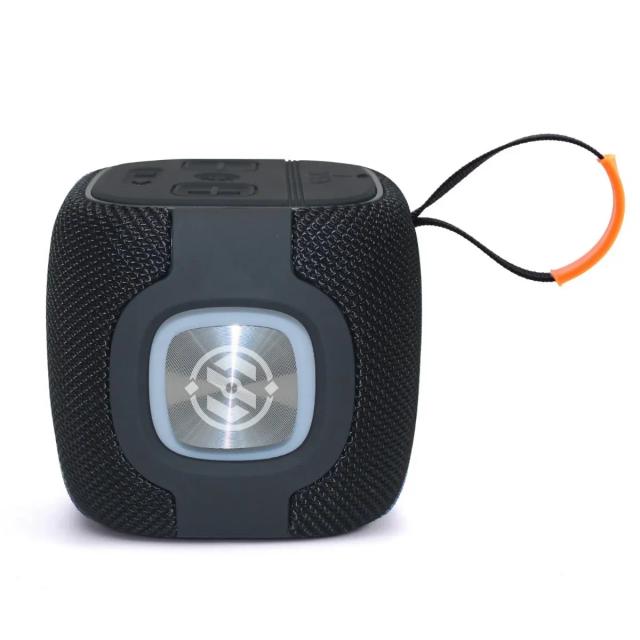 Salpido Party waves 306 10W Bluetooth Party Speaker (Black)